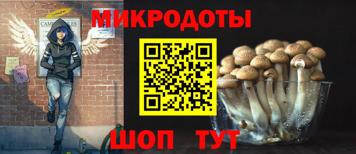 Псилоцибиновые грибы прущие грибы Кисловодск