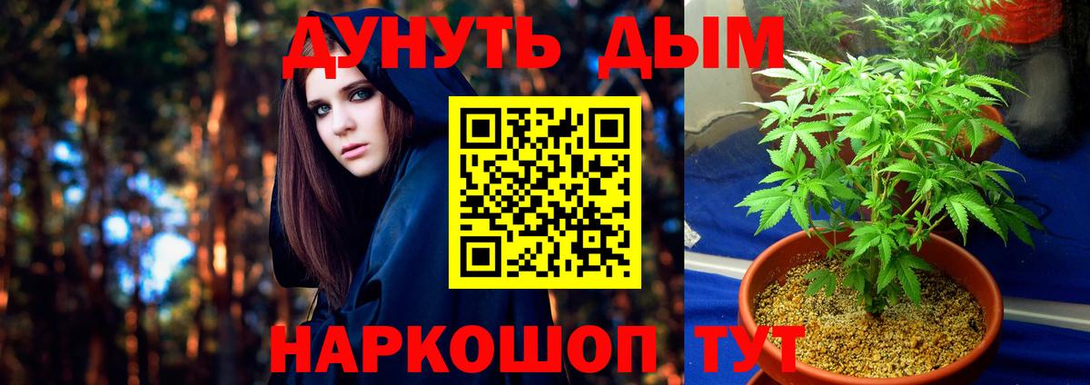 Бошки Шишки Ganja  Конопля AK-47  МАРИХУАНА семена  Вход с VPN  Кисловодск 